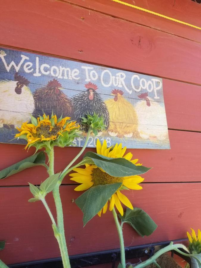 Global Village Permaculture Bnb Oliver Exterior photo